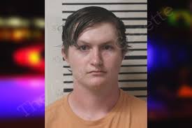 Mason McCarty — Toombs County Jail Bookings