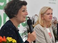 Élections départementales : toutes les infos sur L'Alsace