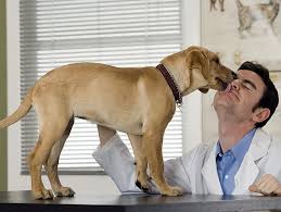 Ver la normativa oficial del incual (instituto nacional. 21 De Julio Dia Del Veterinario En Venezuela Que Pasa