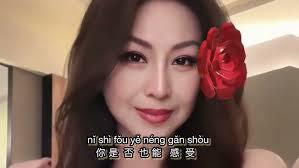 荒野志(Wilderness Chronicles) -《Faye 詹雯婷》- Chi/Eng/Pinyin lyrics《虎鹤妖师录Tiger  and Crane》影视原声带- YouTube