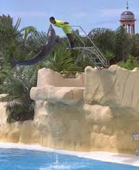 Resultado de imagen de imagenes de loro parque