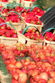 Marche De Arles Provence Tourismpaca Tourismepaca Market Marche Arles Provence France Gastronomie Alimentation Provence