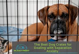 Best dog crate for a dog with separation anxiety. The Best Dog Crates For Dealing With Separation Anxiety Buddyrest Com