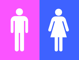 Gender identity vs sexual orientation: Binary Genders Gender Wiki Fandom