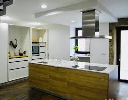 Diseno Interior De Cocinas Modernas Zebrano