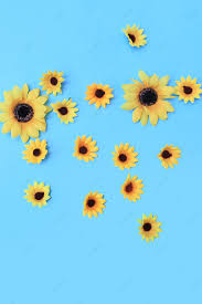 Bunga matahari yang digambar menggunakan spidol dan diwarnai menggunakan cat air warna warni untuk melatih kreatifitas. Ilustrasi Latar Belakang Biru Bunga Matahari Bunga Matahari Latar Belakang Pencocokan Warna Floral Gambar Latar Belakang Untuk Unduhan Gratis