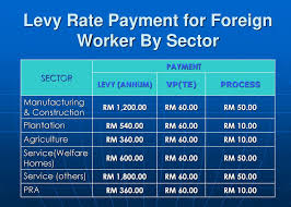 Employers must first apply to the immigration department for a visa with higher skilled foreign workers carry a lower rate of levy. Foreign Workers Division Immigration Department Ppt Download