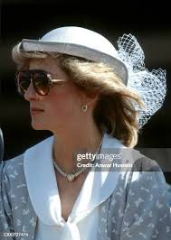 154 Diana Butterfly Stock Photos, High-Res Pictures, and Images