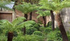 10 Garden Ideas To Steal From London Gardenista London Garden Tropical Garden Shade Garden
