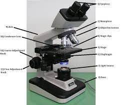 Parts And Functions Of A Light Microscope Part Ii Biology Science Questions Microscope Parts