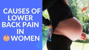 Pin On Complete Back Pain Solution