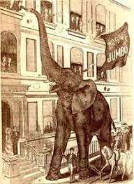 This game is made by developer fanatee games, who except codycross has also other wonderful and puzzling games. Jumbo Simple English Wikipedia The Free Encyclopedia