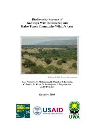 Image result for Pavetta bagshawei