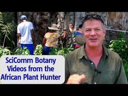 Image result for Afrobrunnichia