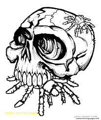 Color in this picture of a tarantula and share it with others today! Spider Coloring Pic Spider Coloring Pages Download Printable Spider Coloring Sheets Pa Mufinella Lesoleildefontanieu Com