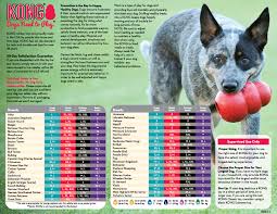 kongs chart for what size kong to get your breed of dog at