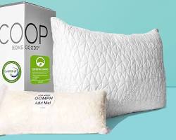 Image of Coop Home Goods Cool Pillow