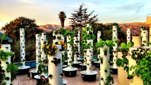 2 quarts tower tonic mineral blend. The Tower Garden By Juice Plus Muenster Family Medical Clinic