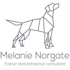 The pet professionals guild of australia. My Experience Melanie Norgate