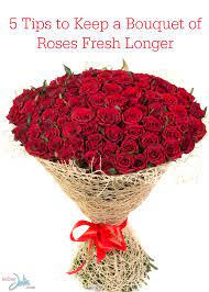 5 Tips To Keep A Bouquet Of Roses Fresh Longer - Sober Julie