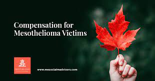 The average mesothelioma settlement is between $1 million and $1.4 million while the average mesothelioma trial verdict is $2.4 million. Canadian Mesothelioma Claims Mesothelioma Claim Advisors
