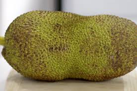 Random thoughts under the tree. Jackfruit How To Cut And Eat It Taste Test In The Kitchen With Matt