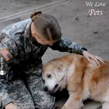 Let your local pet professionals find the the right companion pet that suits the needs of both our customer and please review and comment on our facebook or google accounts. We Love Pets Home Facebook