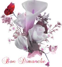 RÃ©sultat de recherche d'images pour "bon dimanche"