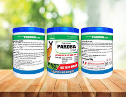 Parosa 325WP