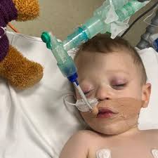 Fundraiser for Adele Curtis by Courtney Lusmore : Donate to support this  beautiful family in a hard time