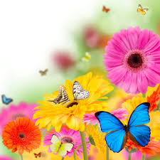 Select your favorite images and download them for use as wallpaper for your desktop or phone. Beautiful Spring Images Download Pixelstalk Net
