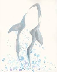 Orca Watercolor Study Whale Tattoos Fish Drawings Whale Sketch