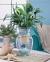 Homemade Fish Bowl Decorations