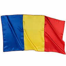 We did not find results for: Steagul Romaniei Serban Ghe Poliester 50 X 30 Cm Emag Ro