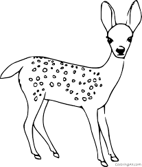 Will my baby's eye color change? Realistic Baby Deer Coloring Page Coloringall