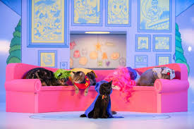 He's only five years old. Cartoon Network Unveils Rebrand As Cat Toon Network Animation World Network