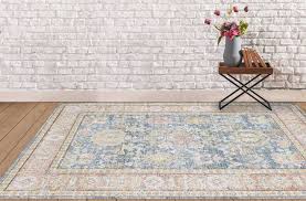 Amer Rugs Century Light Blue Pink Green Rectangular Area Rug Arcen15