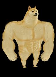 Swole doge, hd png download. Doge Png Hd Png Pictures Vhv Rs