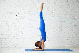 Apr 02, 2008 · yoga has genuinely been the best thing that i've started in my life and done consistently. Pincha Mayurasana Images Free Vectors Stock Photos Psd