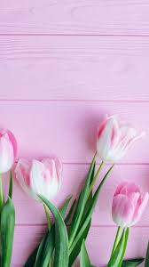 Tulip Flowers Fresh 1080x1920 Wallpaper Flower Phone Wallpaper Flower Background Wallpaper Flower Wallpaper
