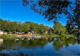 Wo heute noch eine sandkiste steht, könnte morgen schon ein teich sein. Stralsund Blick Auf Den Burgergarten Foto Bild Deutschland Europe Mecklenburg Vorpommern Bilder Auf Fotocommunity