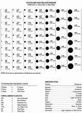 Top Seed Beads Sizes Chart Wallpapers Jewelry Diy