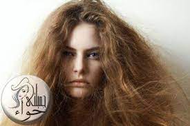 علاج الشعر المتقصف والهايش frizzy hair treatment hair treatment frizzy