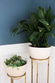 A Color Happy Home That Pantone Would Drool Over Plant Stand Tall Plant Stands Style Me Pretty Living