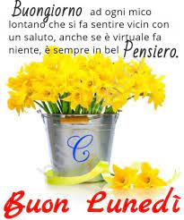 Buon Lunedi Con I Fiori 3 Plants