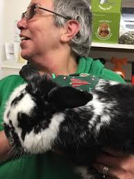 Profile for Bolton-le-Sands Pet Store and Groomers