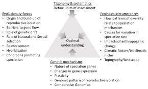 Genes Free Full Text Patterns Mechanisms And Genetics