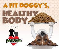 Dog Nutrition Dog Nutrition Dog Food Recipes Raw Dog Food Recipes
