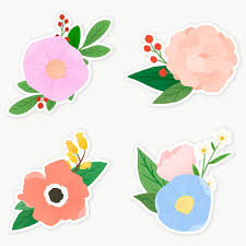 Colorful Floral Sticker Collection Transparent Png Premium Image By Rawpixel Com Katie Moir Floral Stickers Flower Drawing Flower Illustration