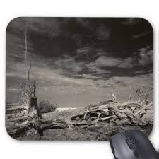 Black And White Mouse Pad Leopard Stands On A Uprooted Storm Tree Botswana Mouse Pad Black And White Gifts Unique Special B W Style Mouse Pad Leopard White Gifts
